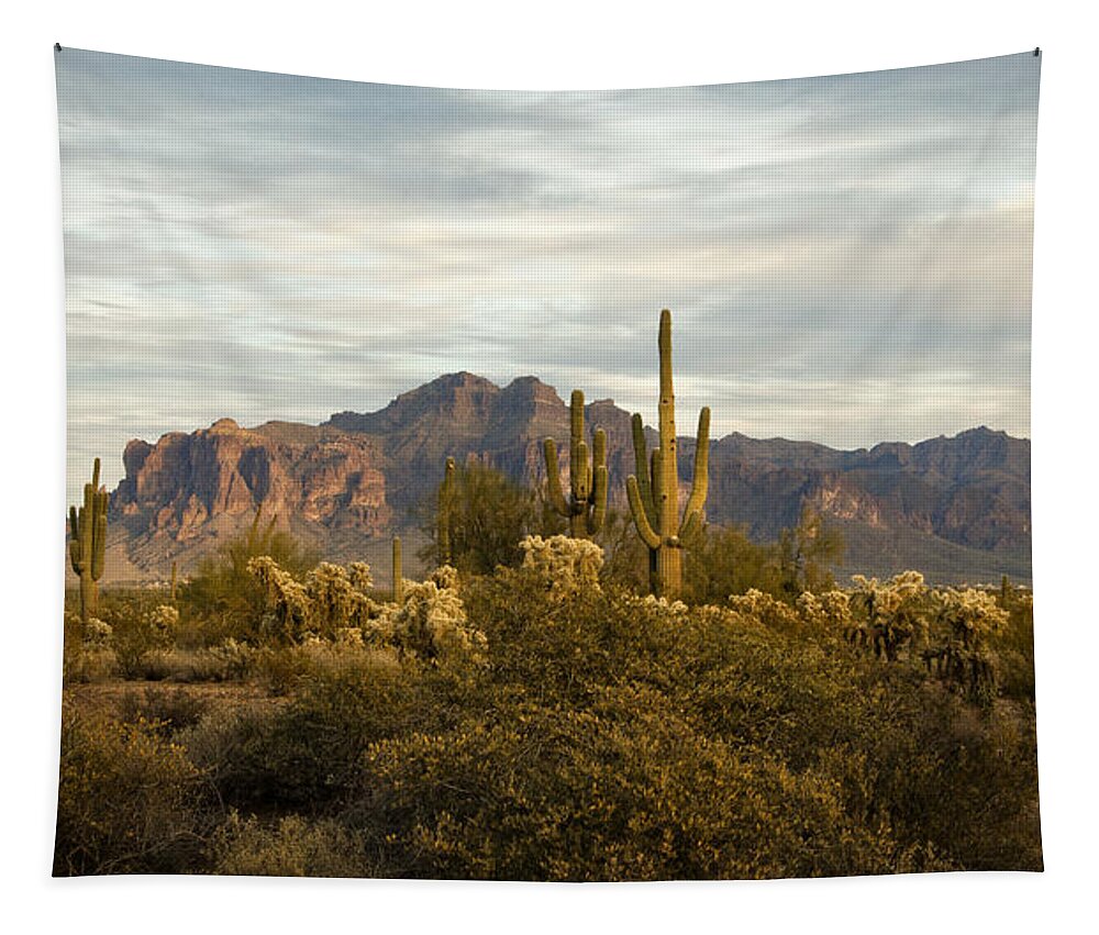 The Superstition Mountains Tapestry featuring the photograph The Superstition Mountains by Saija Lehtonen