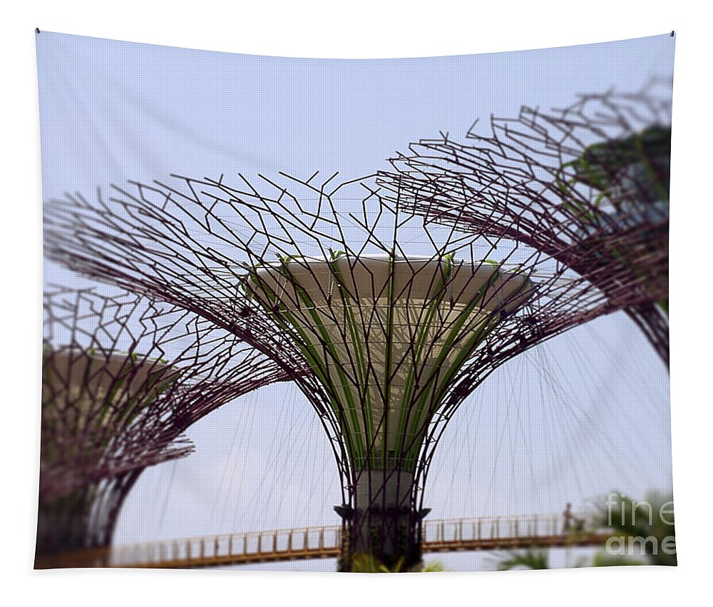 Supertrees Tapestry featuring the photograph The Supertrees by Ivy Ho