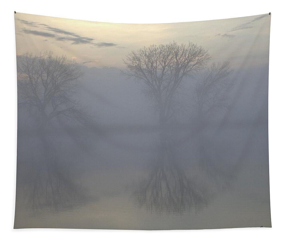 Landscape Tapestry featuring the photograph The Trees of Avalon by Fiskr Larsen