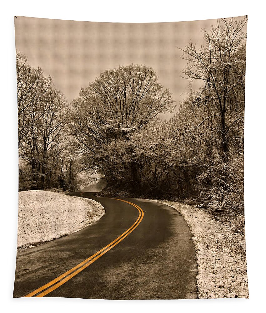 Images Tapestry featuring the photograph The Twisted Road by Flees Photos