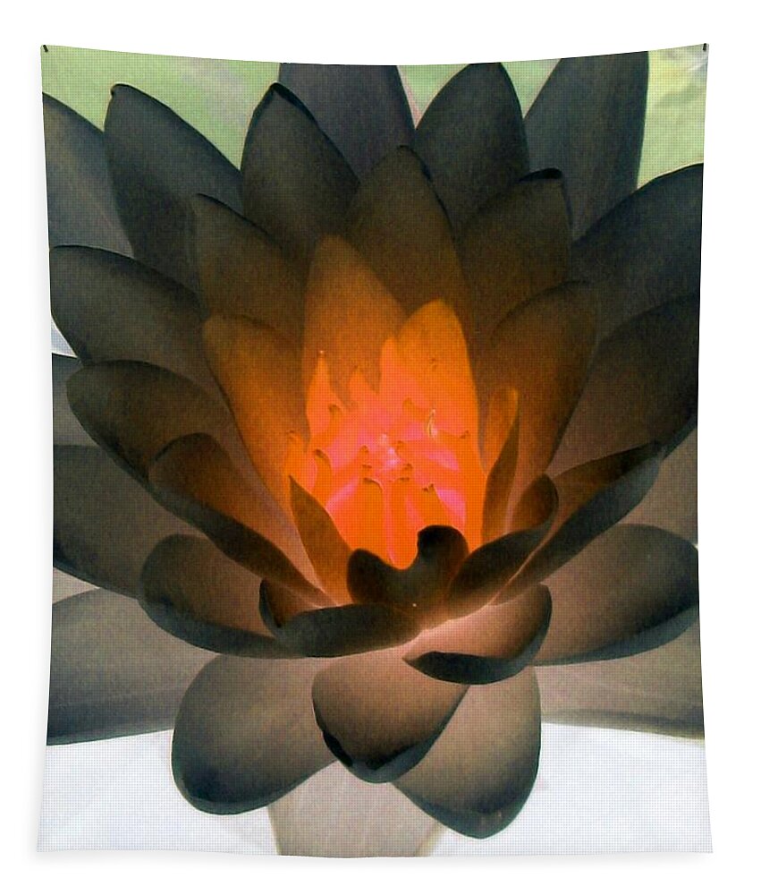 Water Lilies Tapestry featuring the photograph The Water Lilies Collection - PhotoPower 1036 by Pamela Critchlow