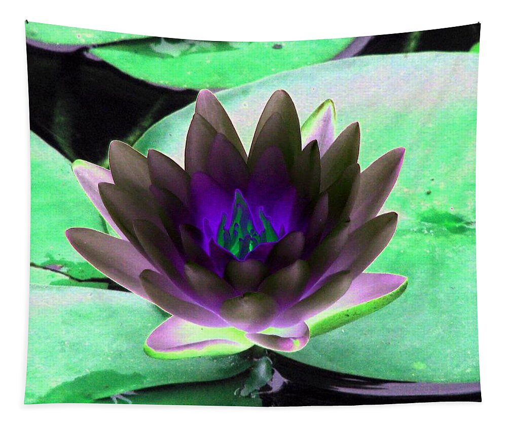 Water Lilies Tapestry featuring the photograph The Water Lilies Collection - PhotoPower 1116 by Pamela Critchlow