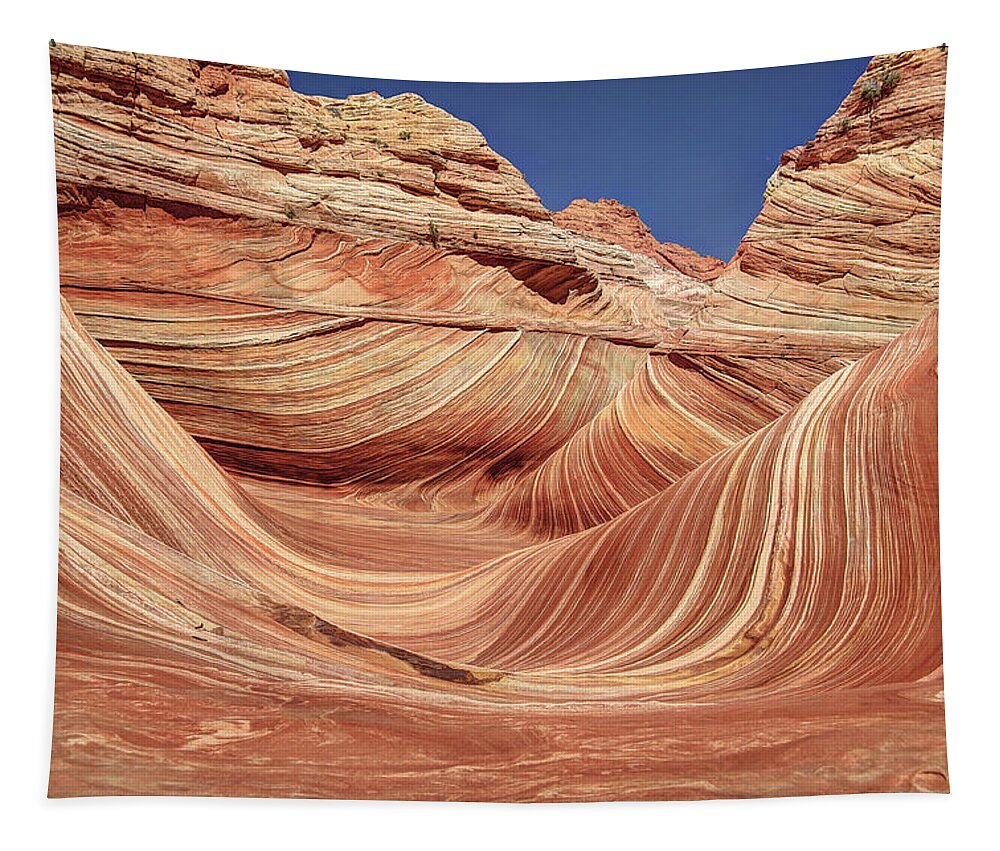 Landscape Tapestry featuring the photograph The Wave by Richard Gehlbach