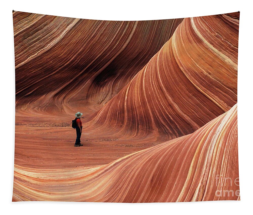 The Wave Tapestry featuring the photograph The Wave Seeking Enlightenment by Bob Christopher