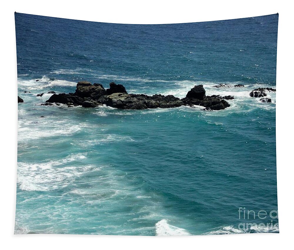 Ocean Tapestry featuring the photograph The Whale Rock by Carla Carson