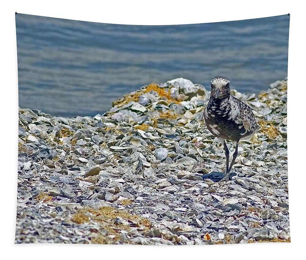 The World Is My Oyster Tapestry featuring the photograph The World Is My Oyster by Gary Holmes
