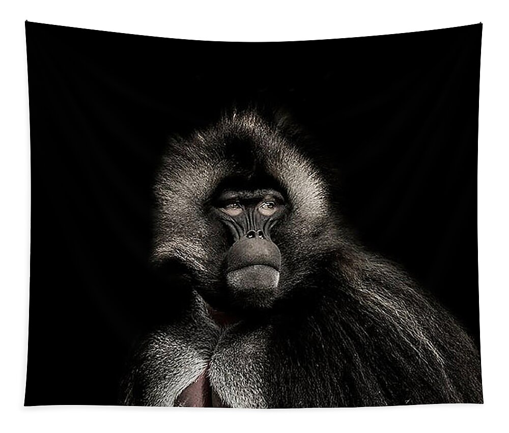 Gelada Tapestry featuring the photograph The young Warrior by Paul Neville