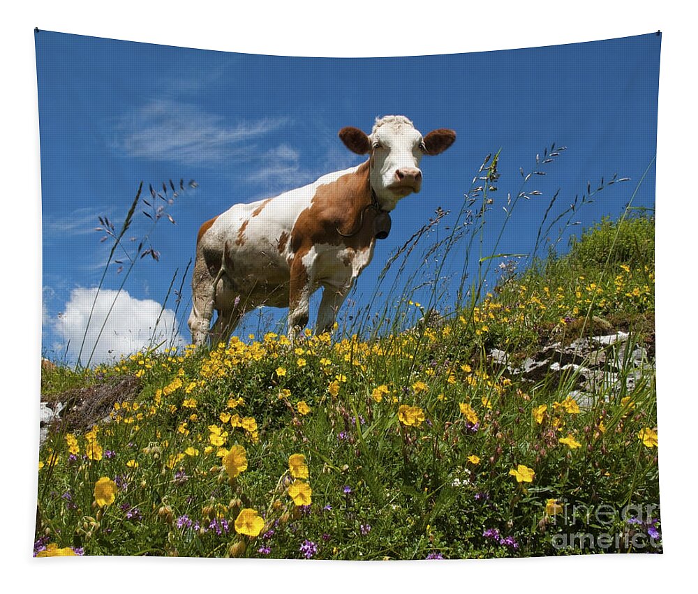 Happy Tapestry featuring the photograph Think Milk by Edmund Nagele FRPS