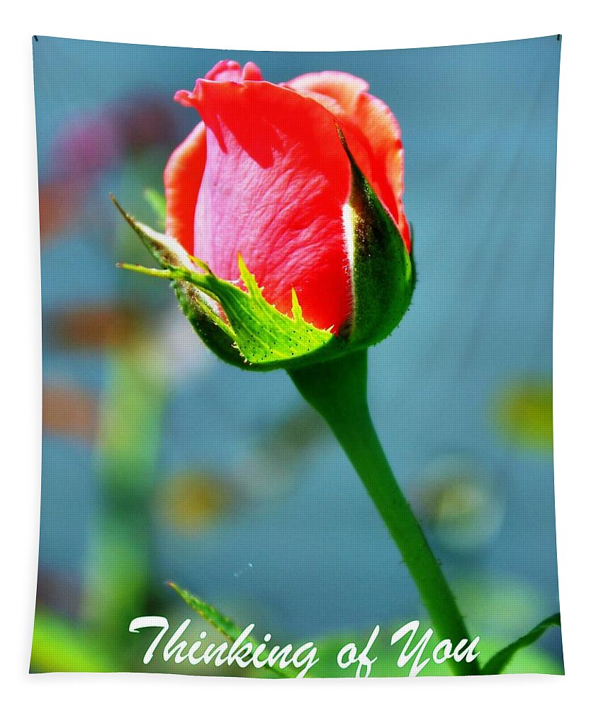 Greeting Card Tapestry featuring the photograph Thinking Of You by Judy Palkimas