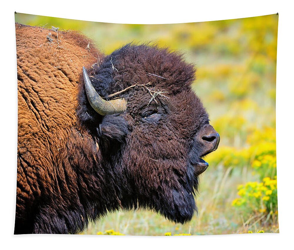 Bison Tapestry featuring the photograph This Is Bull by Greg Norrell