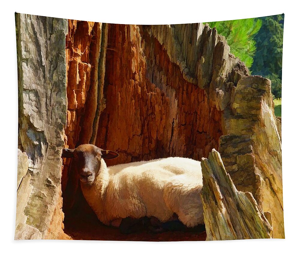 Lamb Tapestry featuring the photograph This is my spot by Ron Harpham