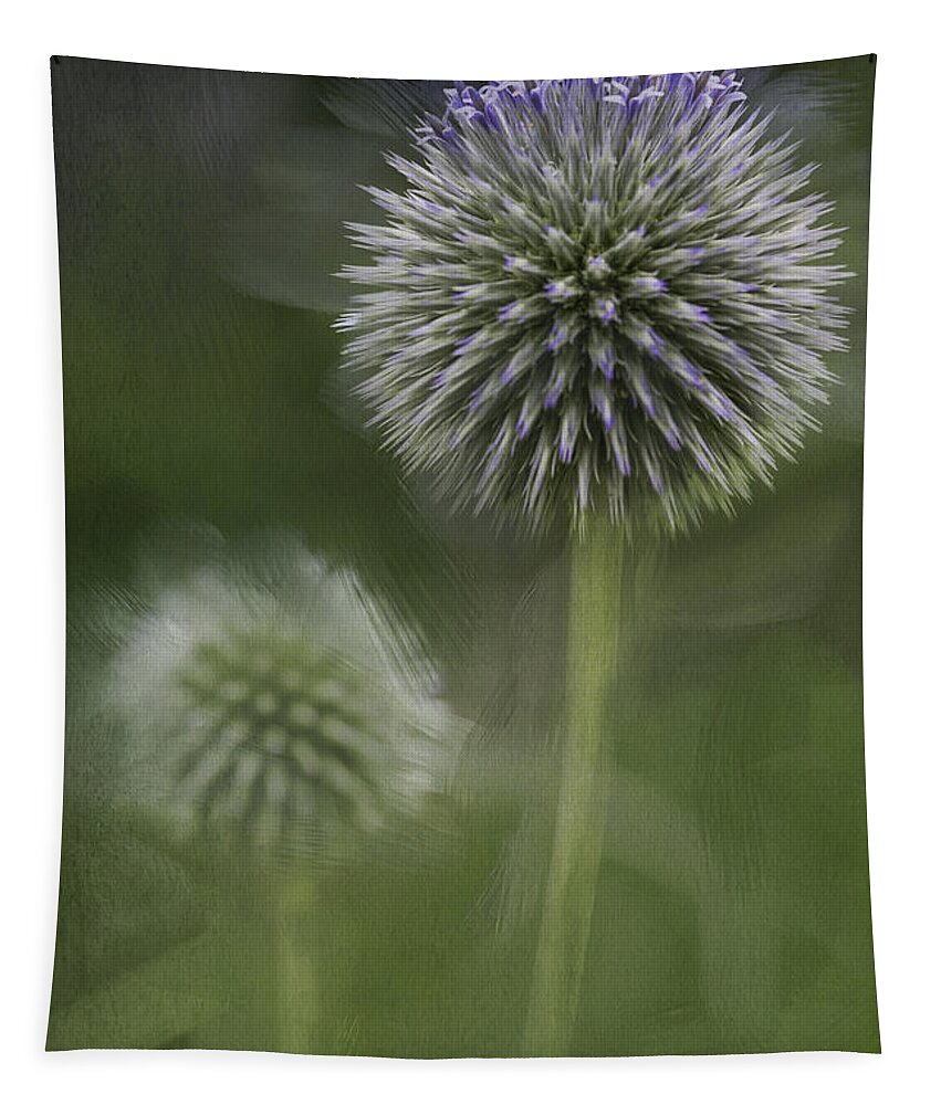 Flower Tapestry featuring the photograph Thistle by Fran Gallogly