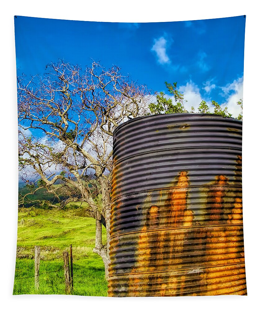 Hawaii Tapestry featuring the photograph Thompson Rd. 24 by Dawn Eshelman