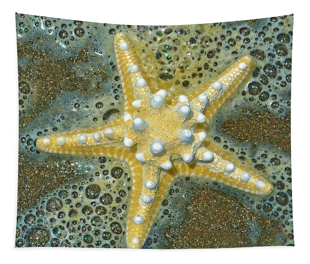Thorny Starfish Tapestry featuring the photograph Thorny Starfish by Sandi OReilly