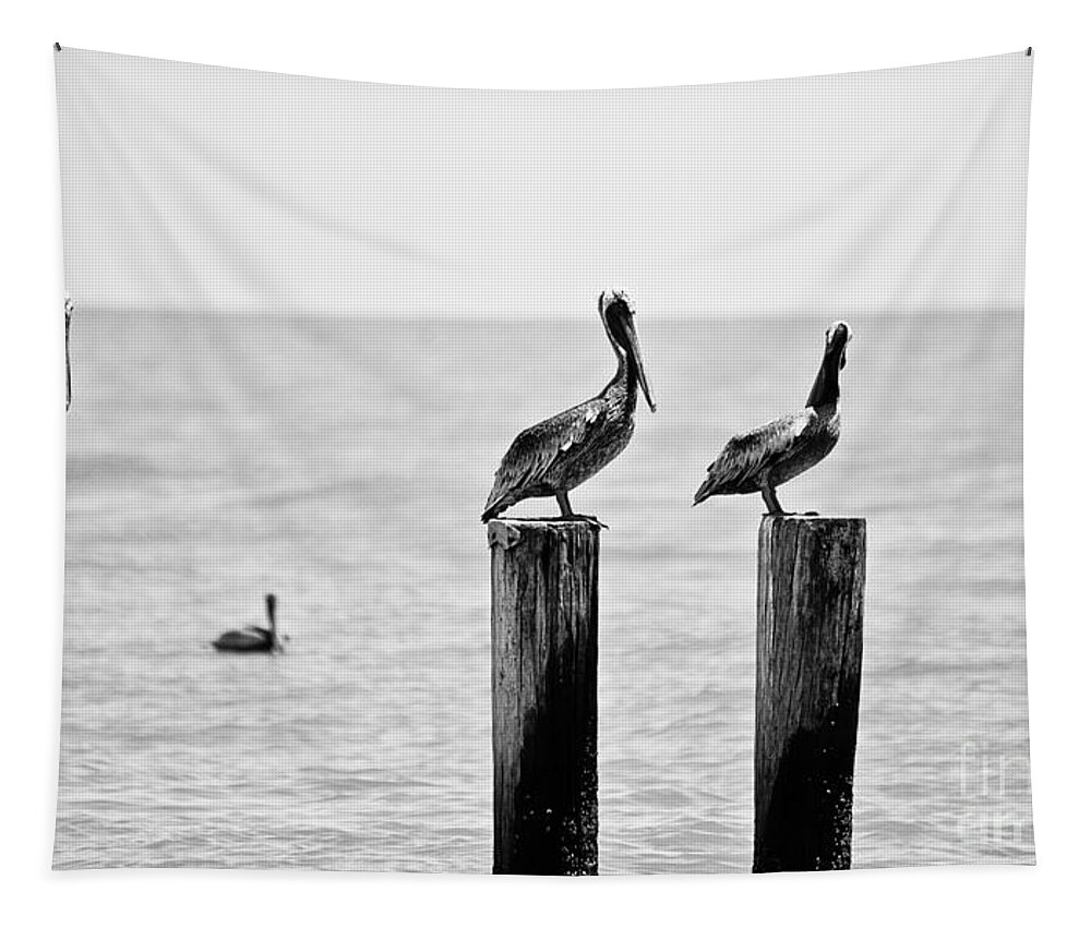Pelican Tapestry featuring the photograph Three Amigos by Scott Pellegrin