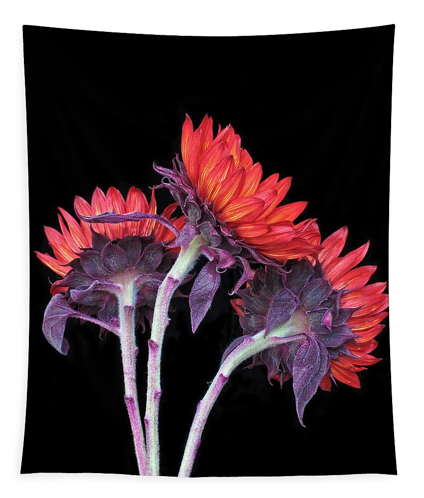 Bloom Tapestry featuring the photograph Three Red Sunflowers I by David and Carol Kelly