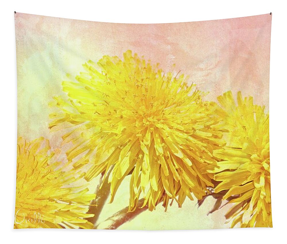 Flowers Tapestry featuring the photograph Three Simple Things by Bob Orsillo