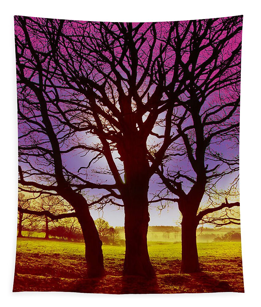 Landscape Tapestry featuring the digital art Three Trees by David Davies