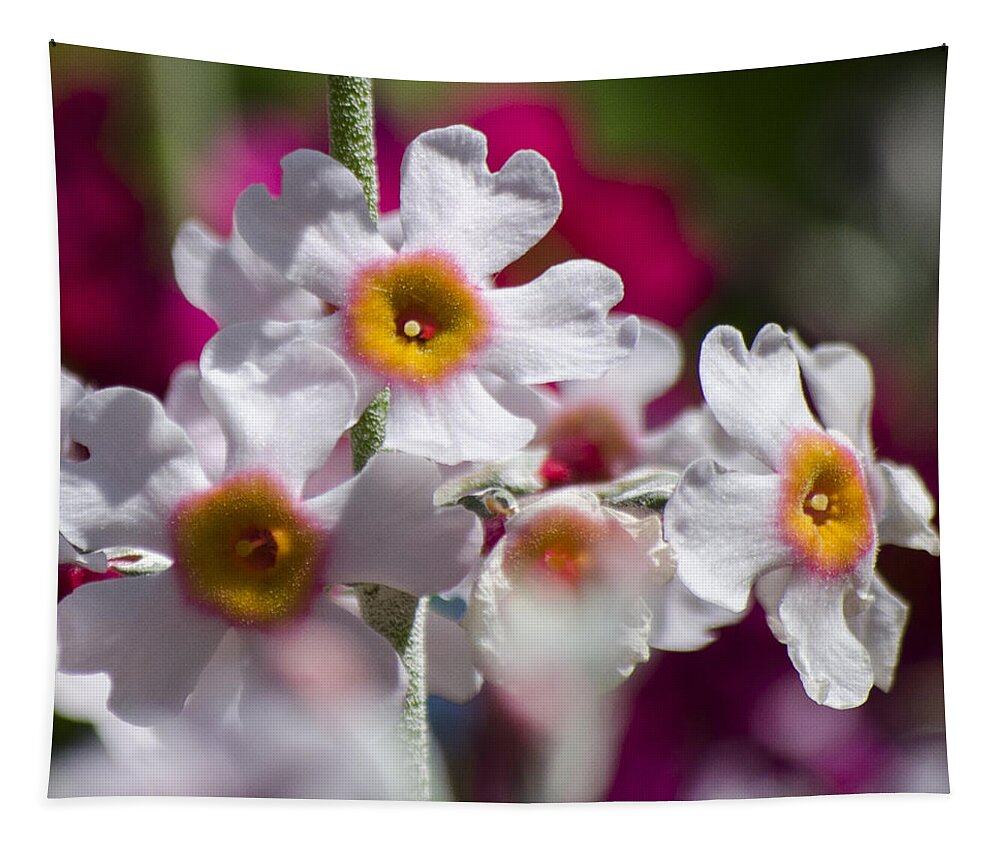 Flowers Tapestry featuring the photograph Three Yellow Faces by Spikey Mouse Photography