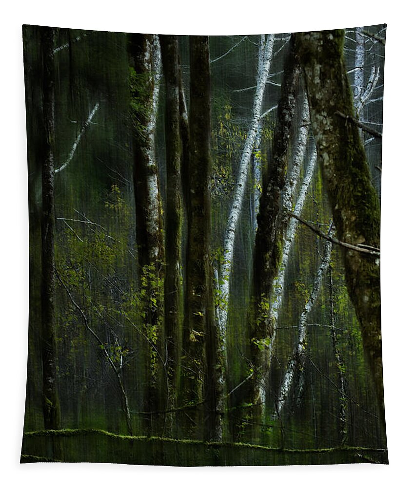 Woods Tapestry featuring the photograph Through a Glass . . . Darkly by Belinda Greb