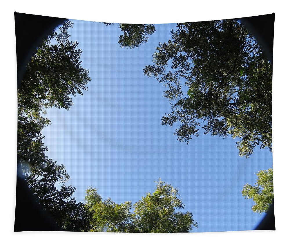 Sky Tapestry featuring the photograph Through Short Eyes by Aaron Martens