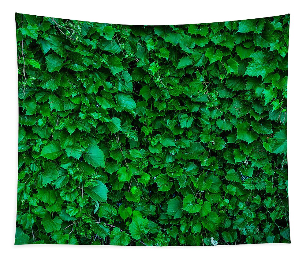 Grape Vine Tapestry featuring the photograph Thru The Grape Vine by Rick Bartrand