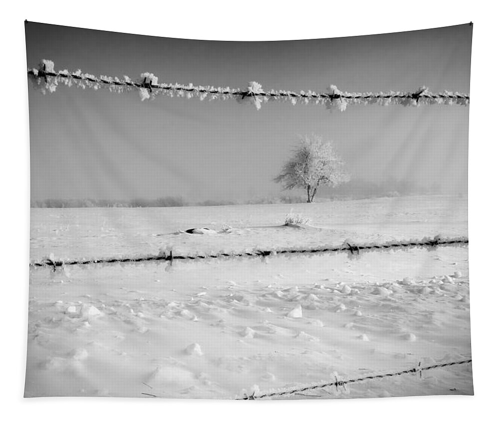 Barbed Wire Tapestry featuring the photograph Thru the Wire by Rick Bartrand