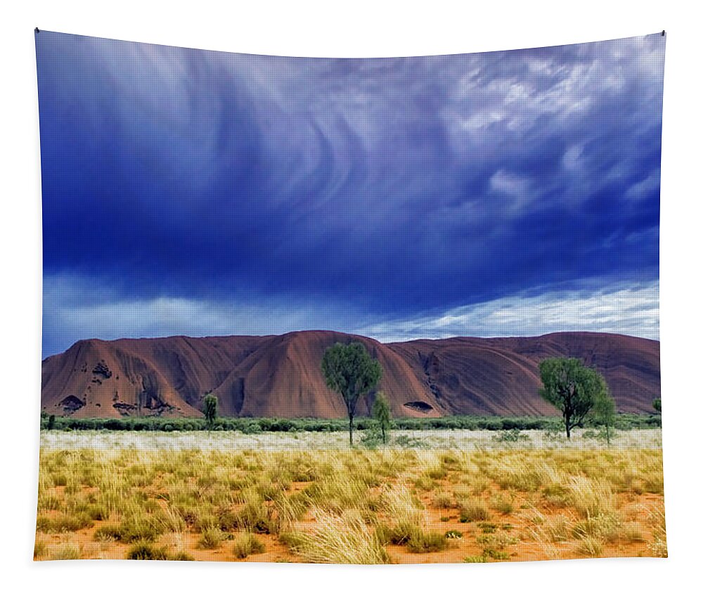 Landscapes Tapestry featuring the photograph Thunder Rock by Holly Kempe