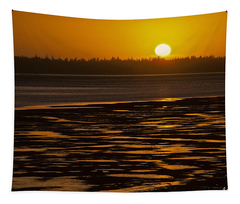 Background Tapestry featuring the photograph Tidal Pattern at Sunset by Jeff Goulden