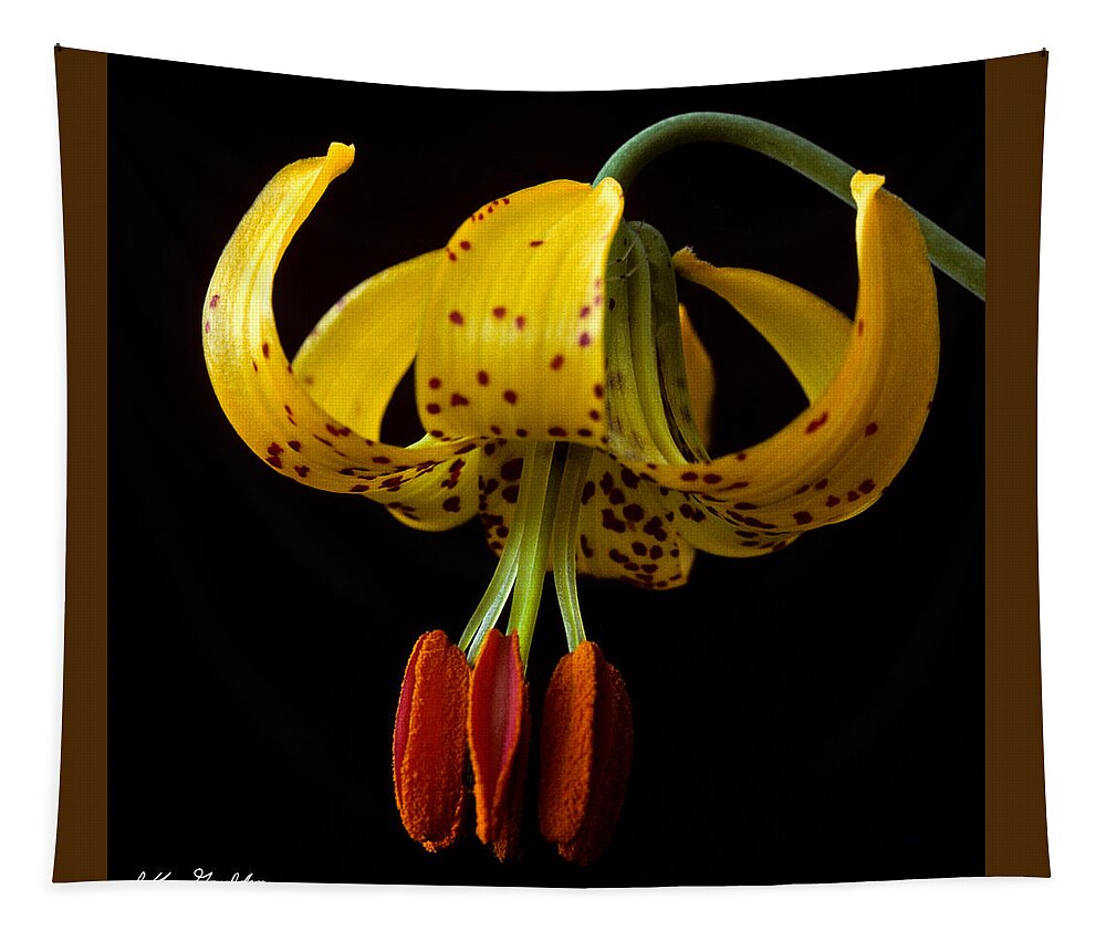 Beauty In Nature Tapestry featuring the photograph Tiger Lily by Jeff Goulden