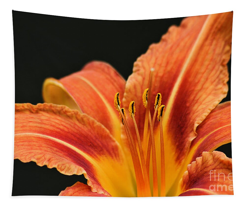 Tiger Lily Tapestry featuring the photograph Tiger Lily by Stan Reckard