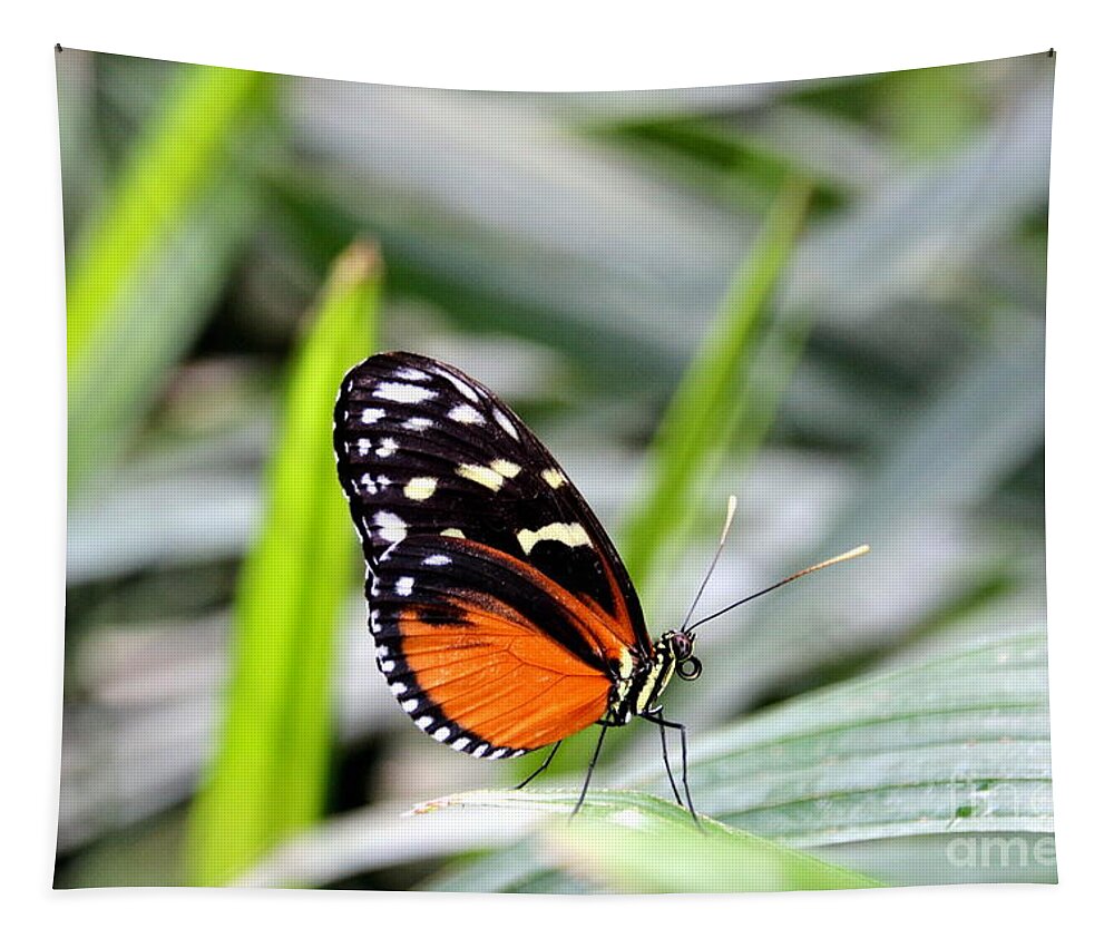 Butterfly Tapestry featuring the photograph Tiger Longwing Butterfly by Amanda Mohler