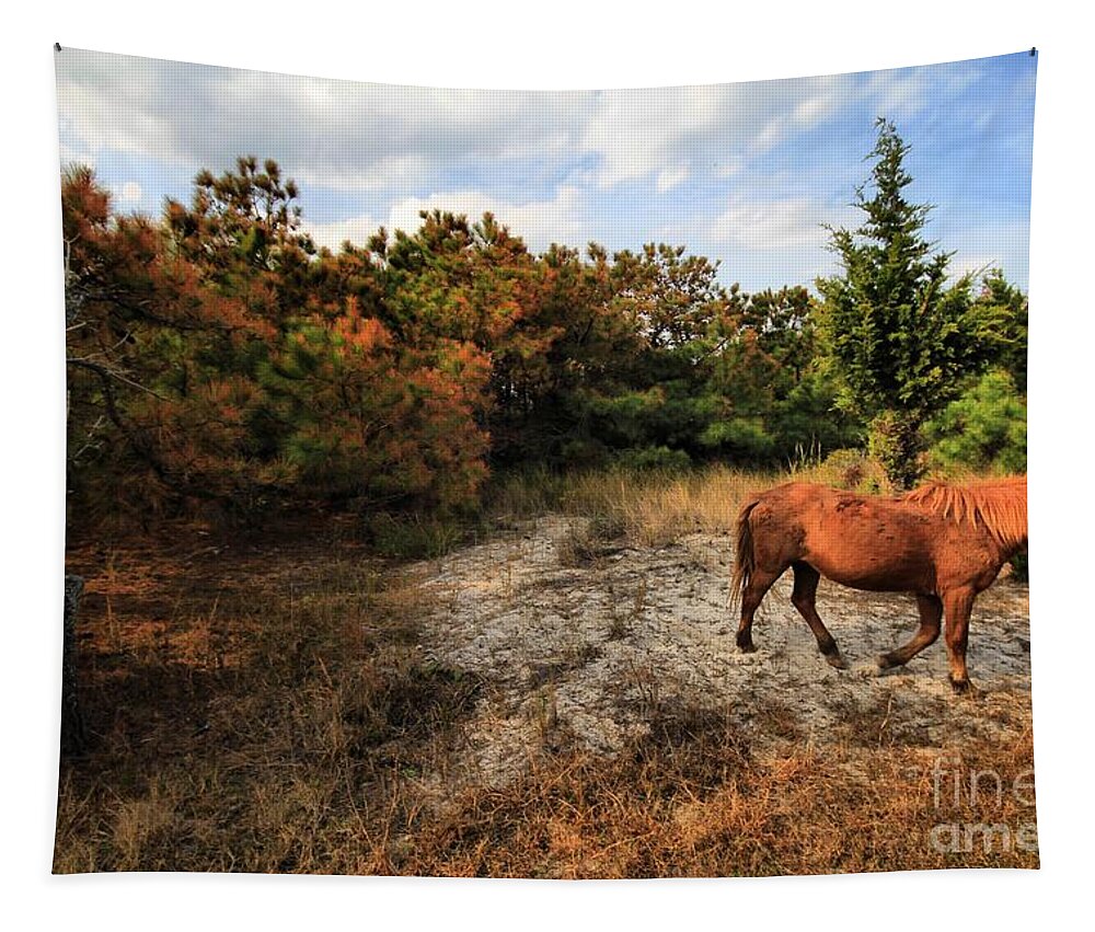 Landscapes Tapestry featuring the photograph Time Fer Just ME by Robert McCubbin