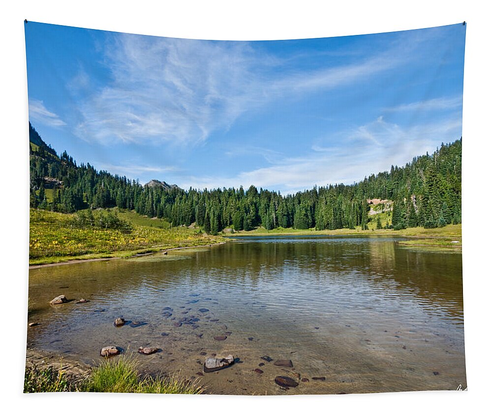 Alpine Tapestry featuring the photograph Tipsoo Lake and Meadow by Jeff Goulden
