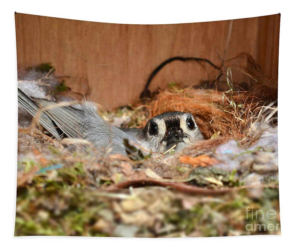 Titmouse Tapestry featuring the photograph Titmouse Nesting by Kathy Baccari