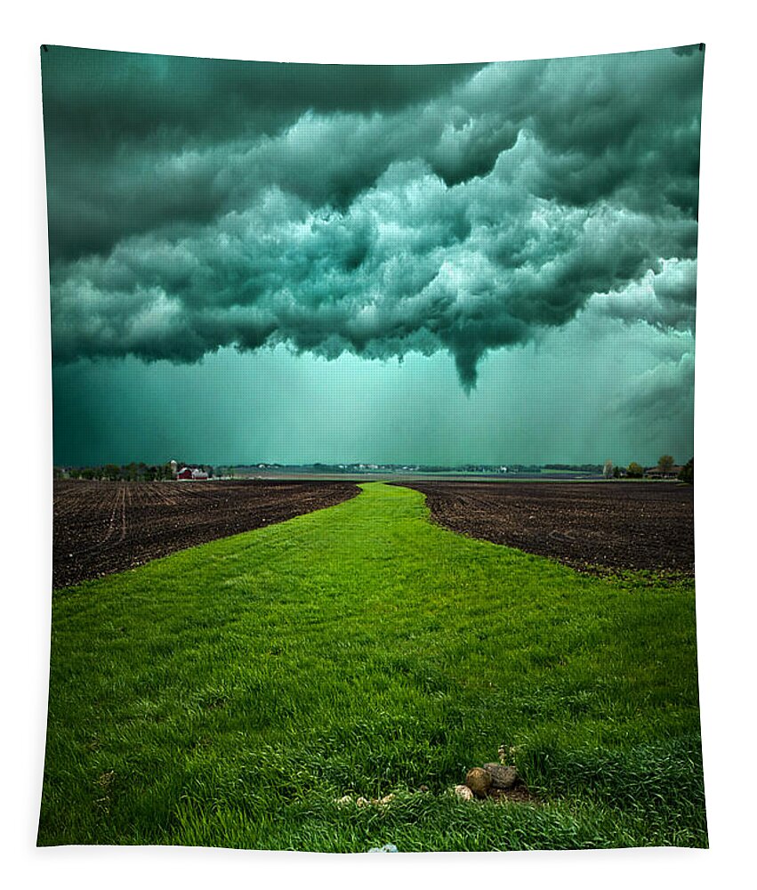 Storm Tapestry featuring the photograph Together We Can Make It by Phil Koch