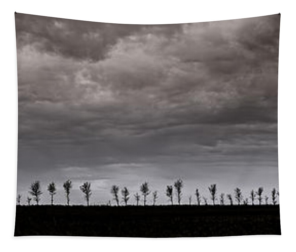 Panorama Tapestry featuring the photograph Together We Shall Stand by Sandra Parlow