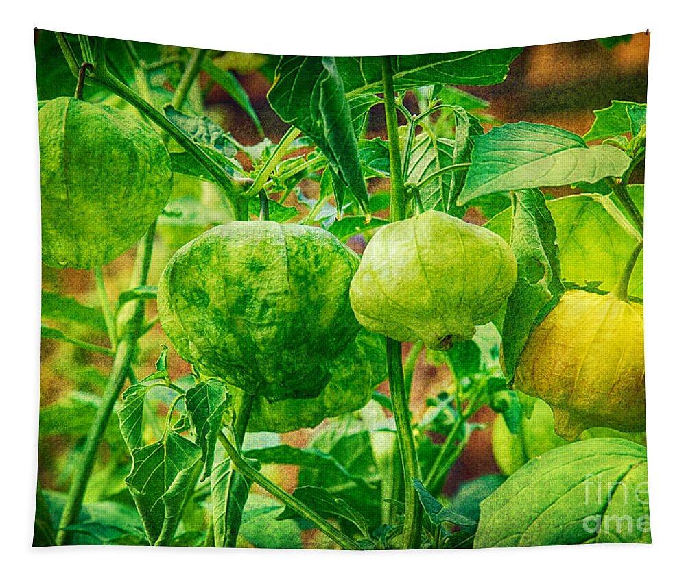 Tomatillo Tapestry featuring the photograph Tomatillos by James BO Insogna