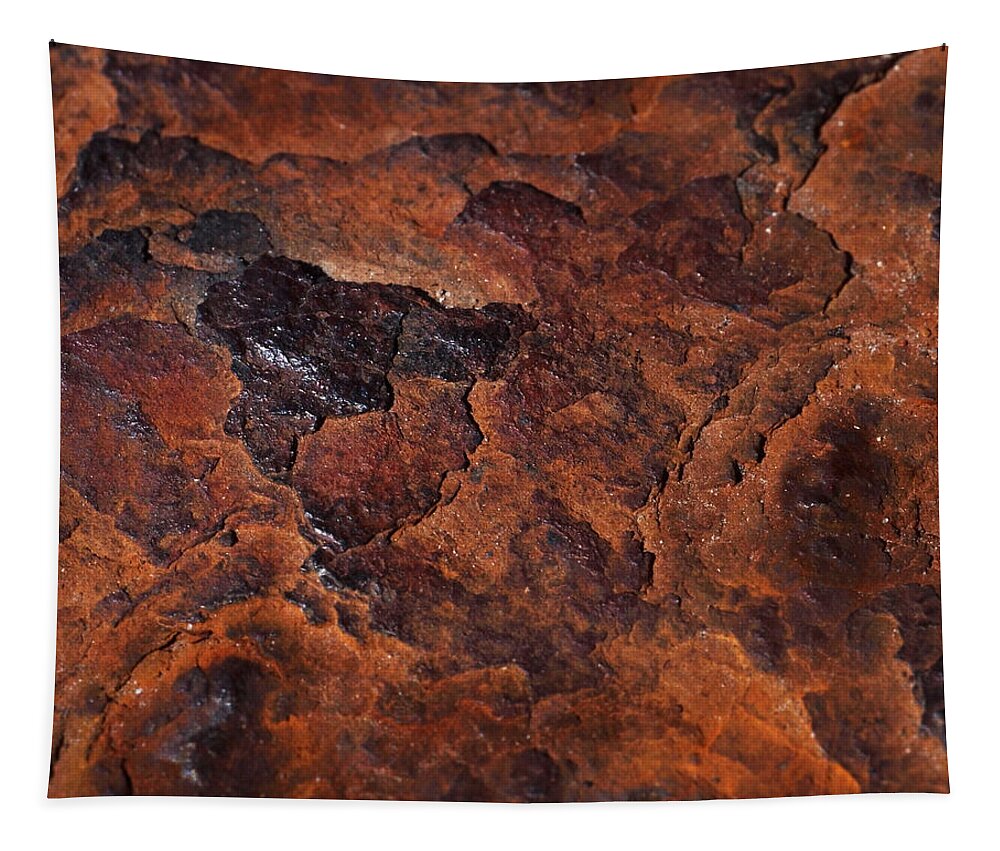 Rust Tapestry featuring the photograph Topography of Rust by Rona Black