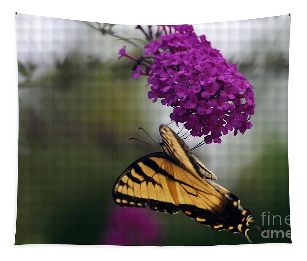 Butterfly Tapestry featuring the photograph Topsy Turvy by Judy Wolinsky