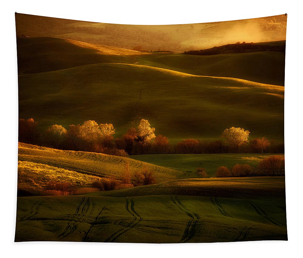 Toskany Tapestry featuring the photograph Golden fields of val d'Orcia by Jaroslaw Blaminsky