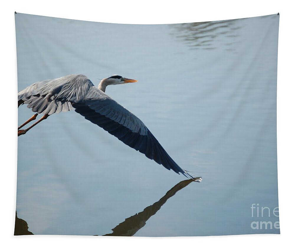 Birds Tapestry featuring the photograph Touch the water with a Wing by Randy J Heath