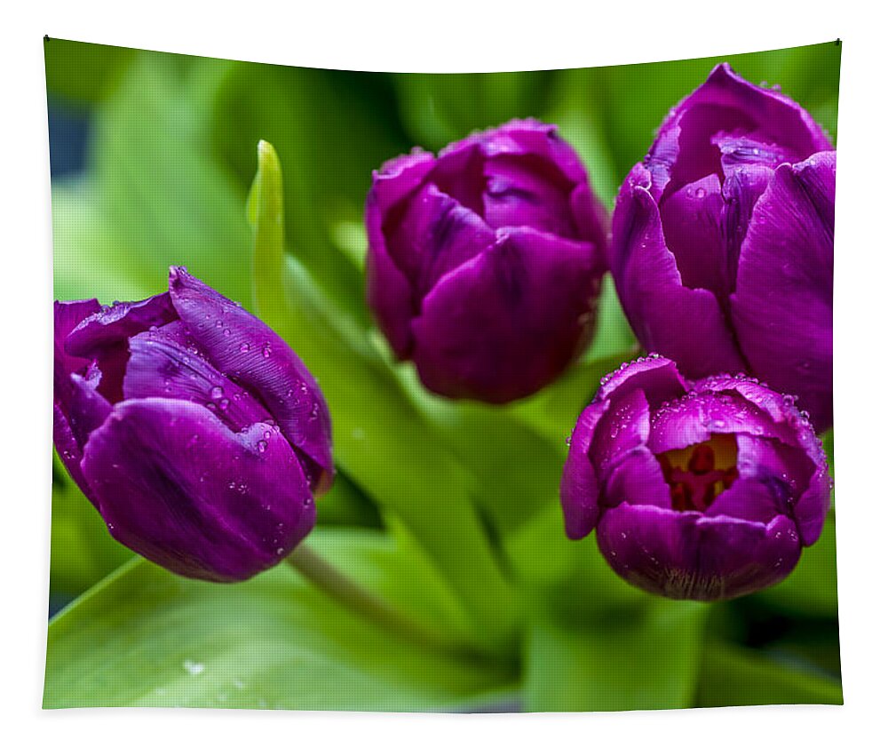 Tulip Tapestry featuring the photograph Towards You. Purple Tulips by Jenny Rainbow
