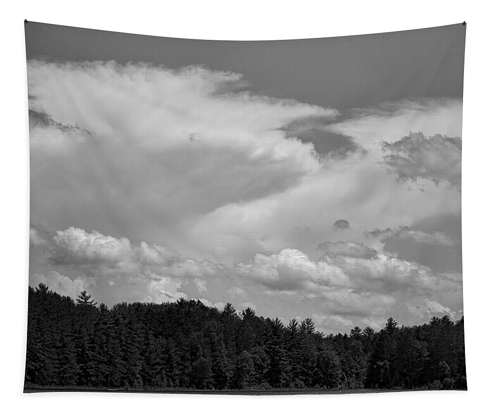 Buck Lake Tapestry featuring the photograph Towering Clouds Over Buck Lake by Dale Kauzlaric