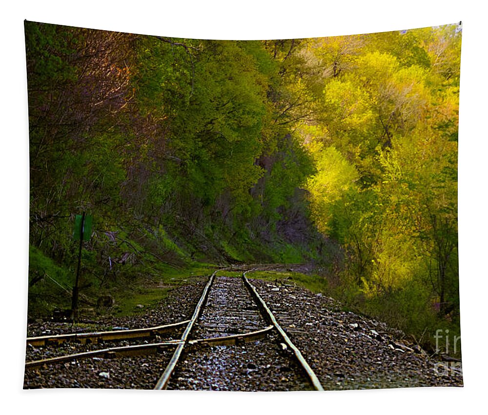 Railroad Tracks Landscape Tapestry featuring the photograph Track Through The Hillside by Peggy Franz