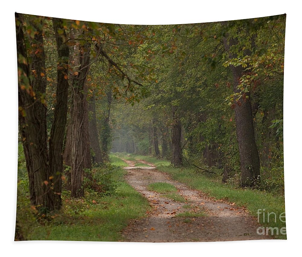 Trail Tapestry featuring the photograph Trail Along the Canal by Jeannette Hunt