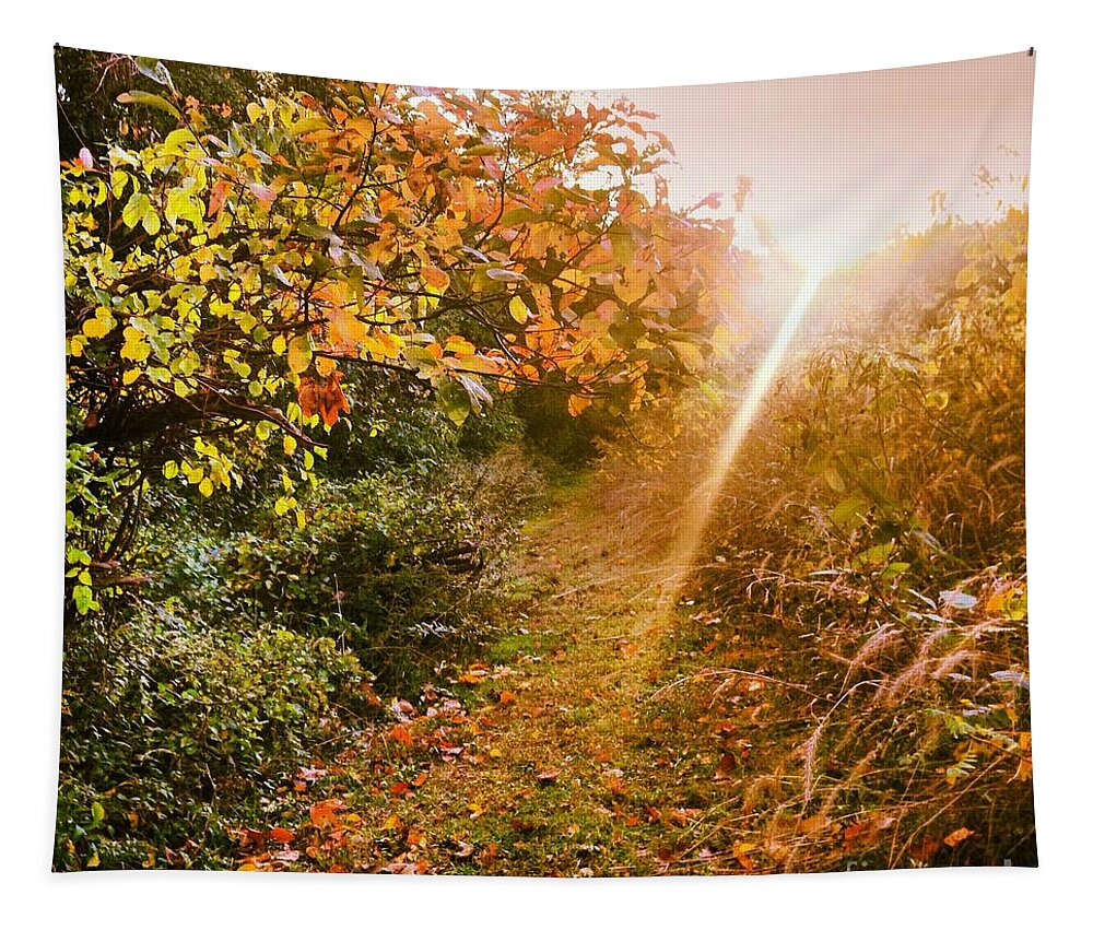 Light Tapestry featuring the photograph Fall Trail by Angela Rath