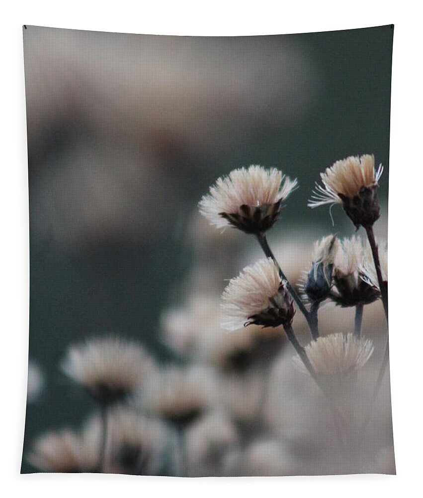 Flower Tapestry featuring the photograph Tranquil by Bruce Patrick Smith