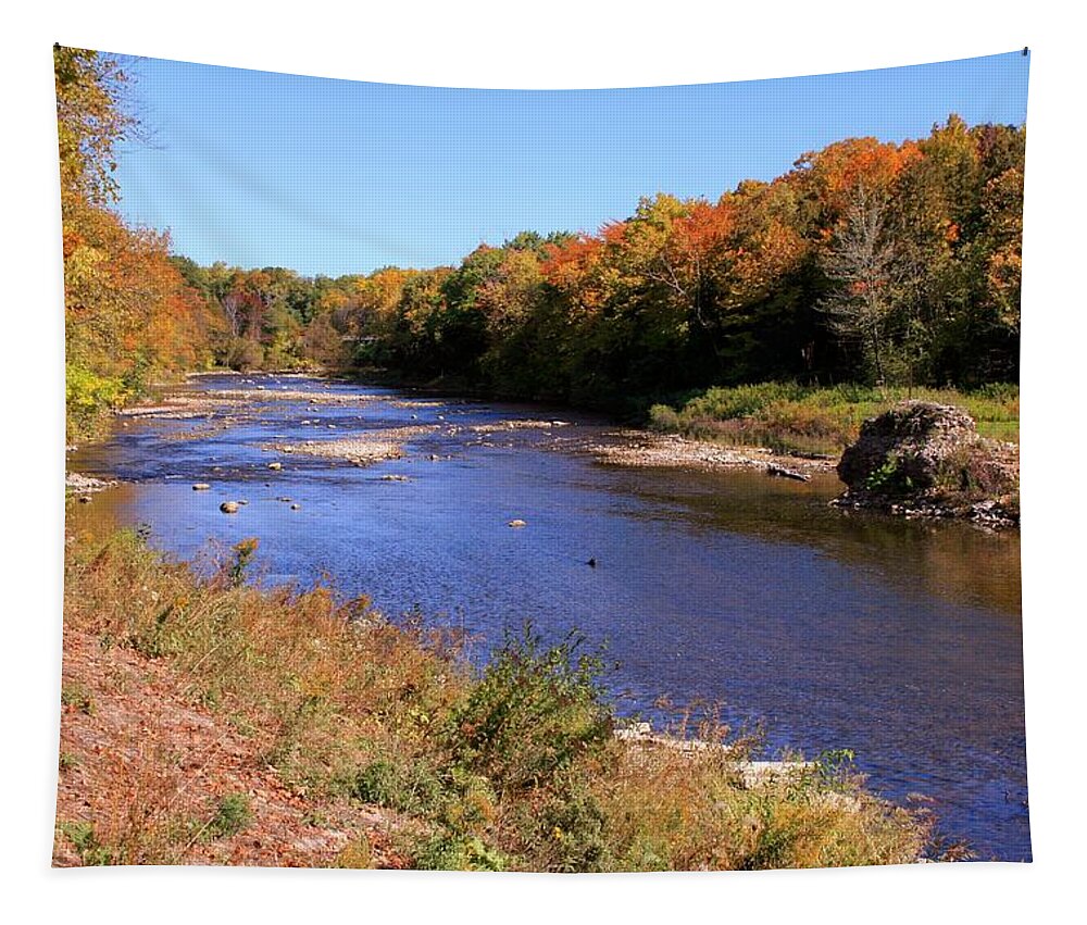 Trees Tapestry featuring the photograph Tranquil Fall Morning by Susan McMenamin
