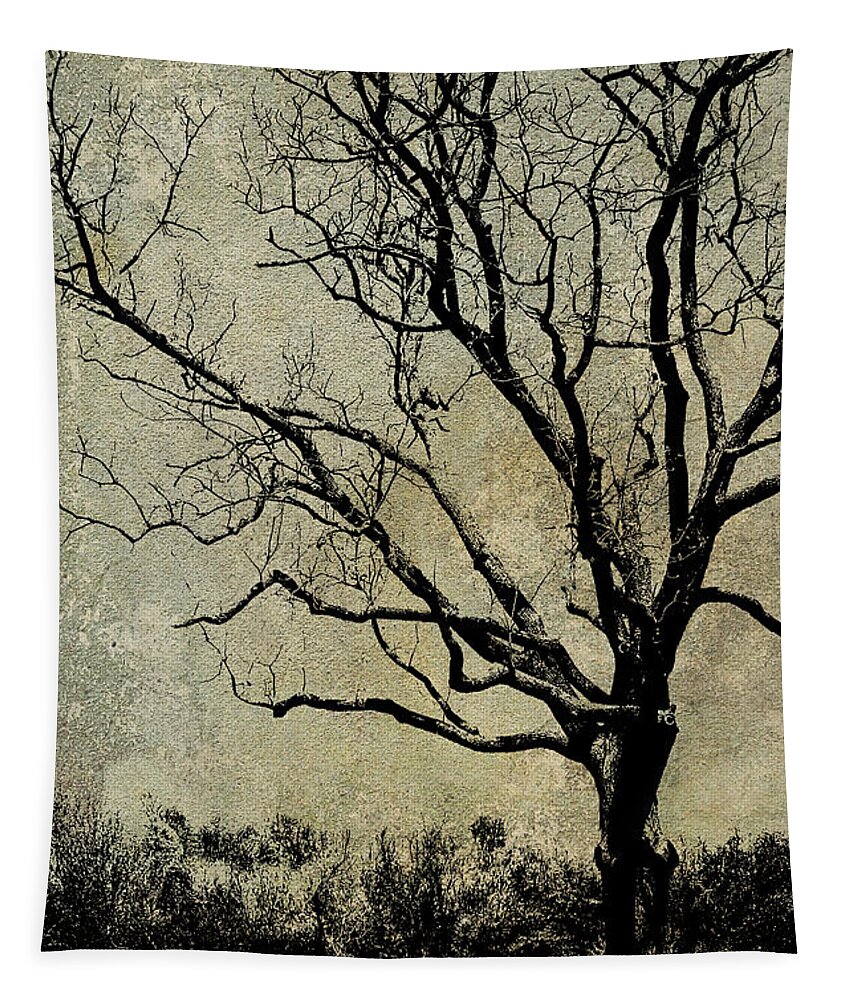 Nature Tapestry featuring the photograph Tree before Spring by Dawn Gari